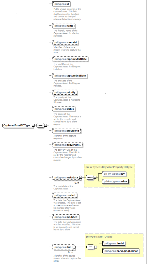 pri_CapturedAsset_schema.png