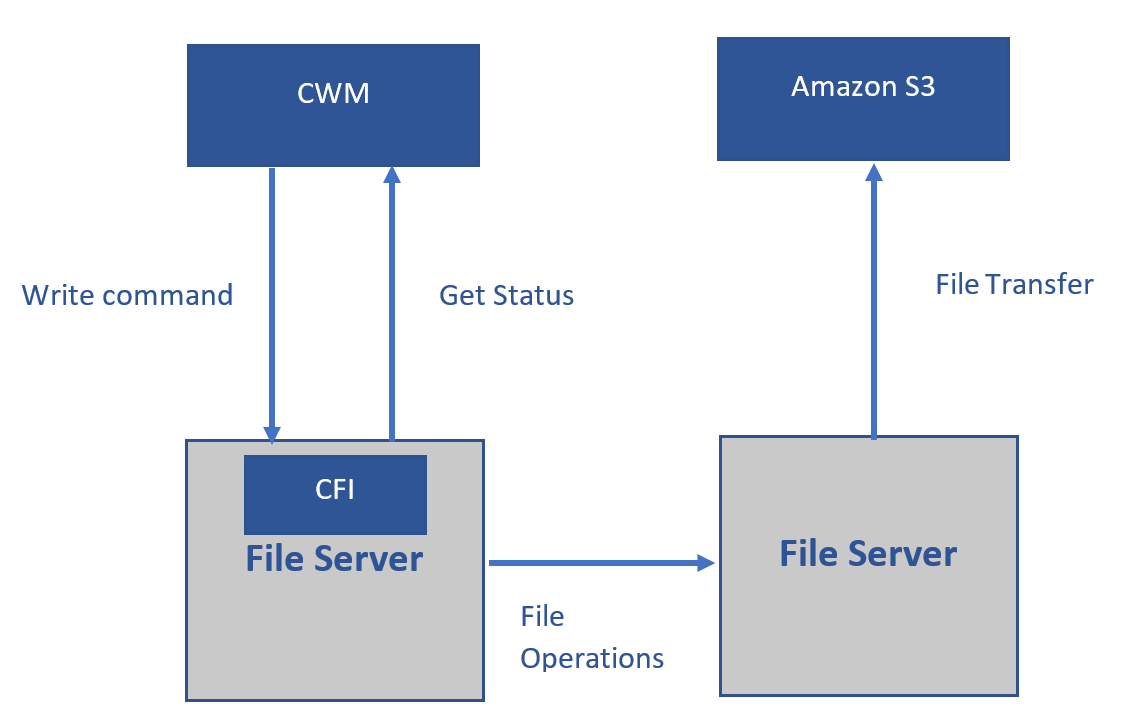 cfi.png