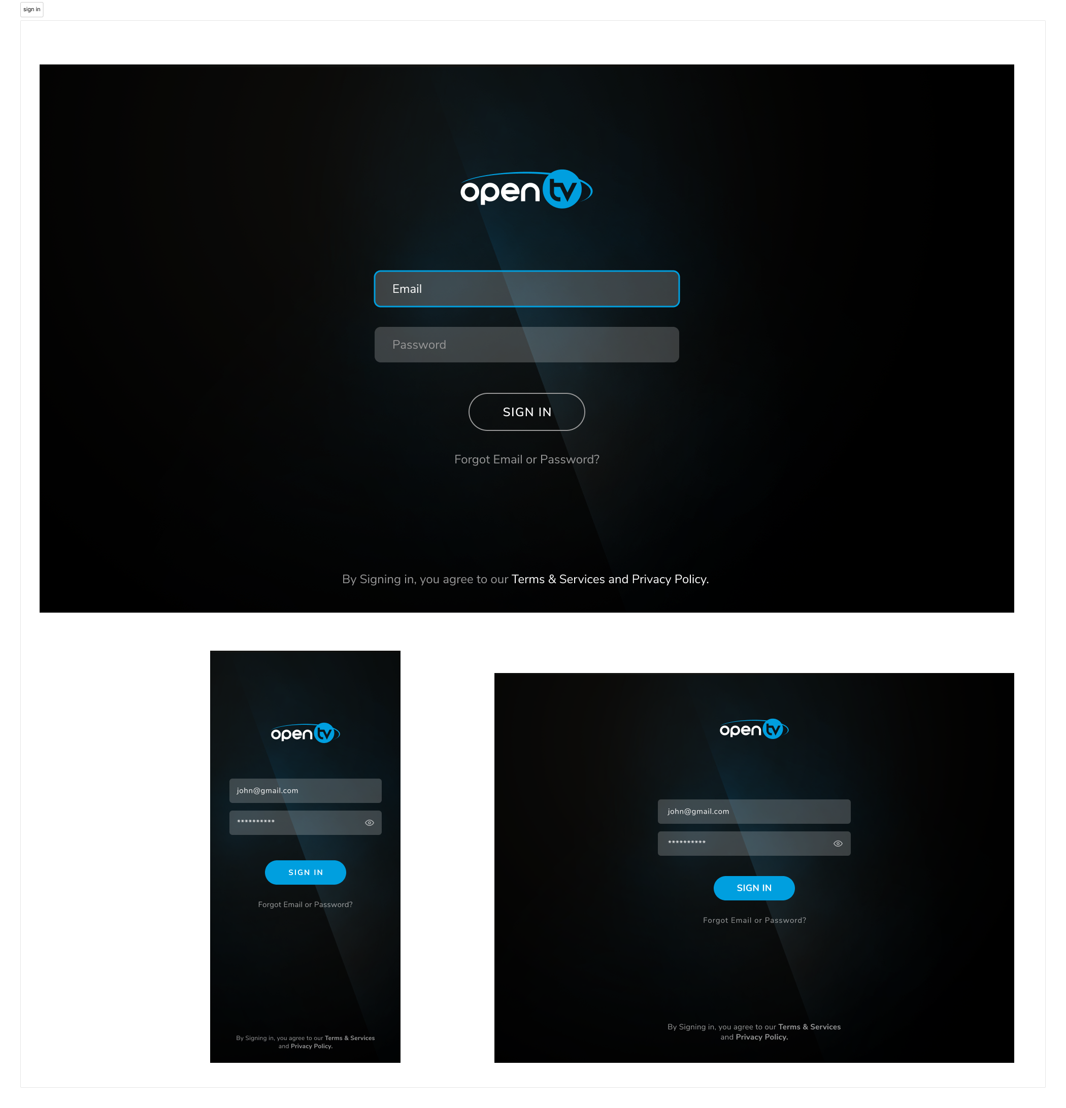 sign in.png